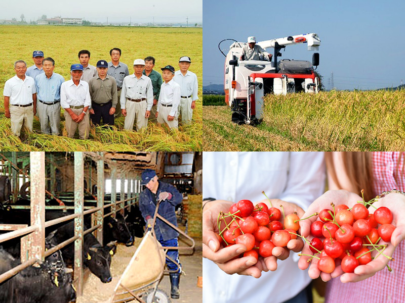 Production of agricultural and livestock products in Japan