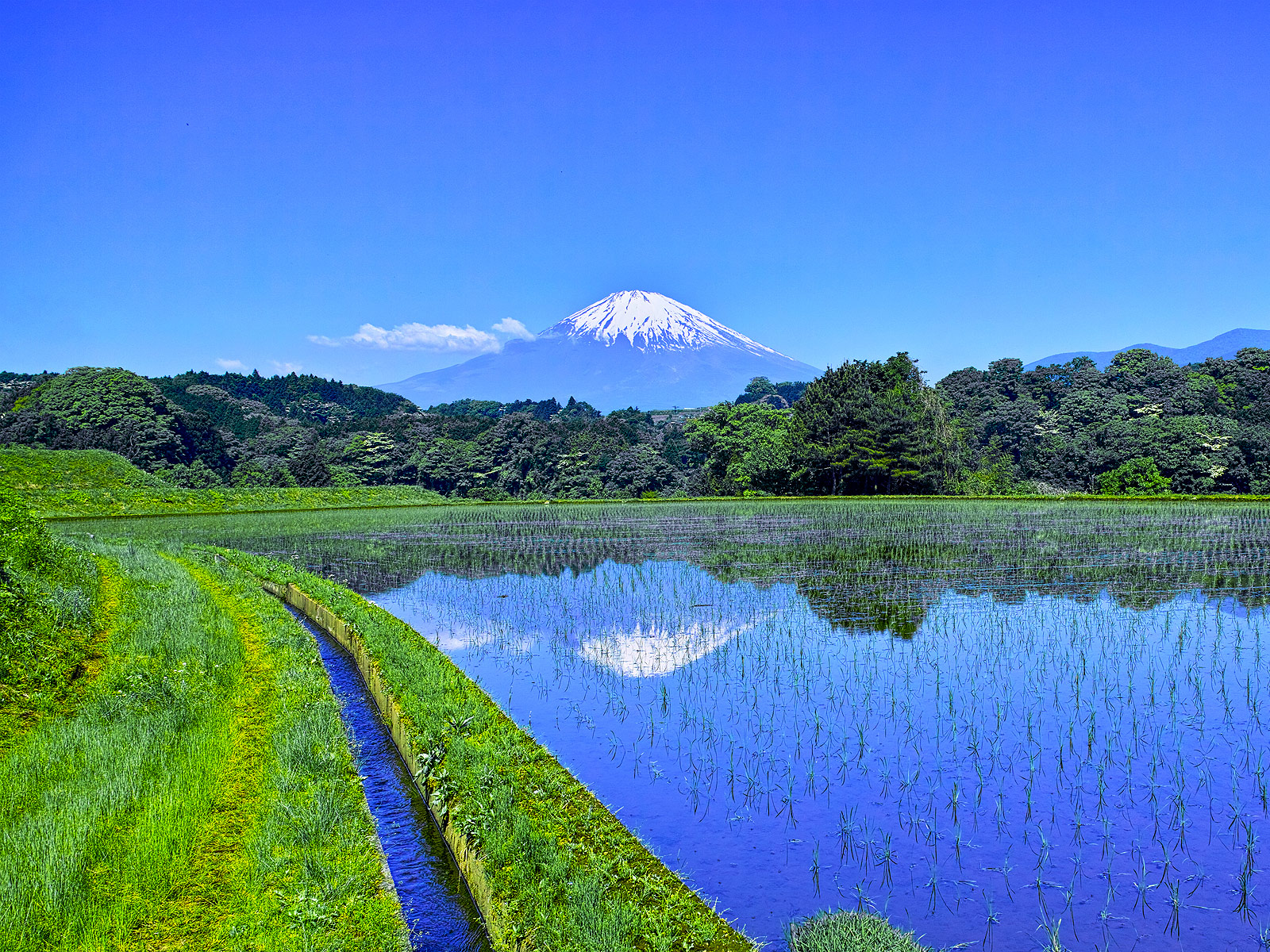 ZEN-NOH International Corporation,Connecting with the World