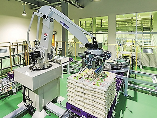 Automated palletization with robot arm